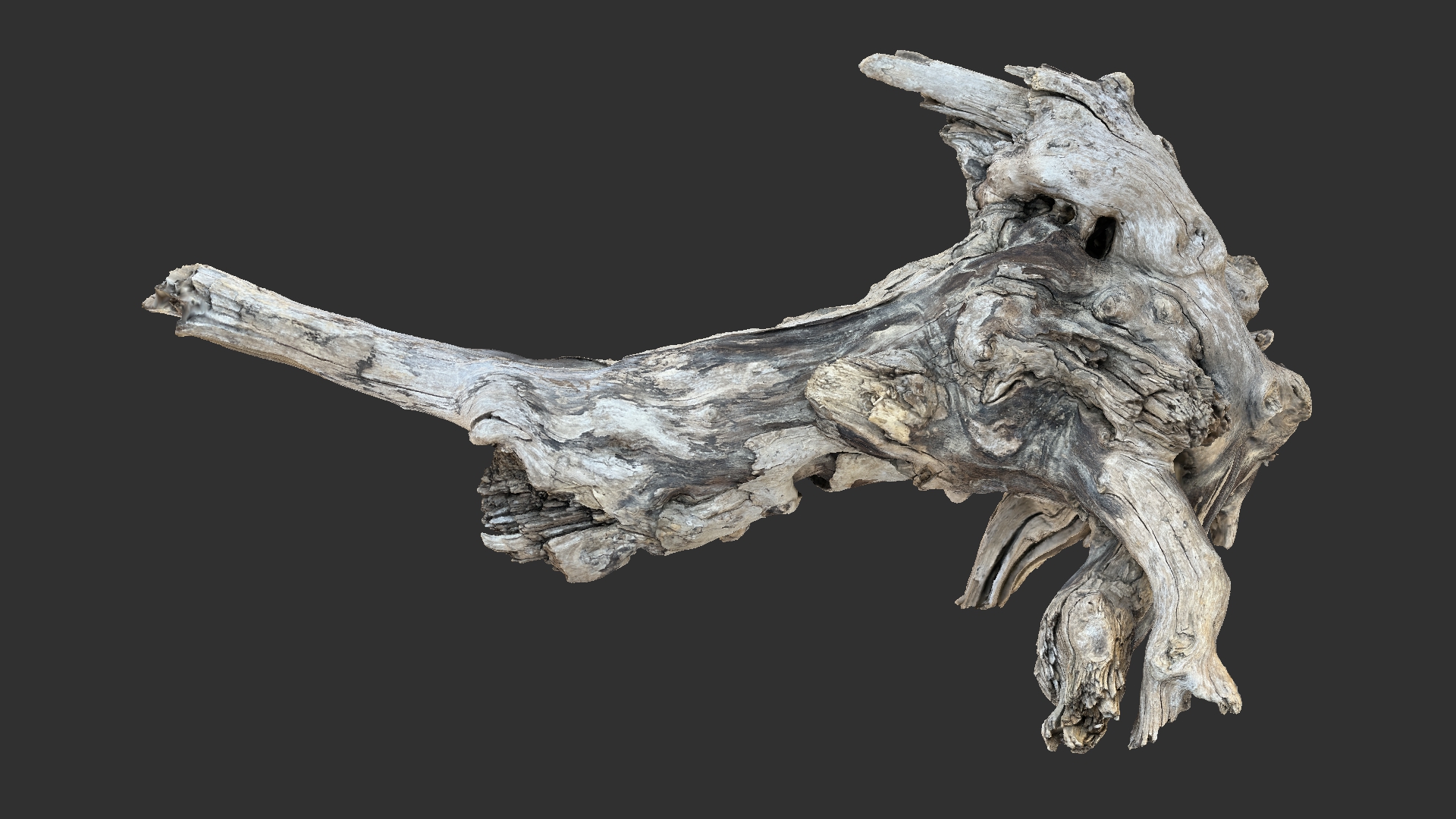 Tree Roots 3d File Dry Tree Root wood 3D Scan in highpoly | Fab
