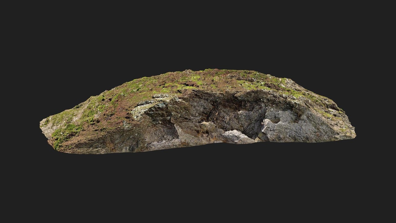 Media 1 for listing Forest European Broadleaf Ledge Rock L