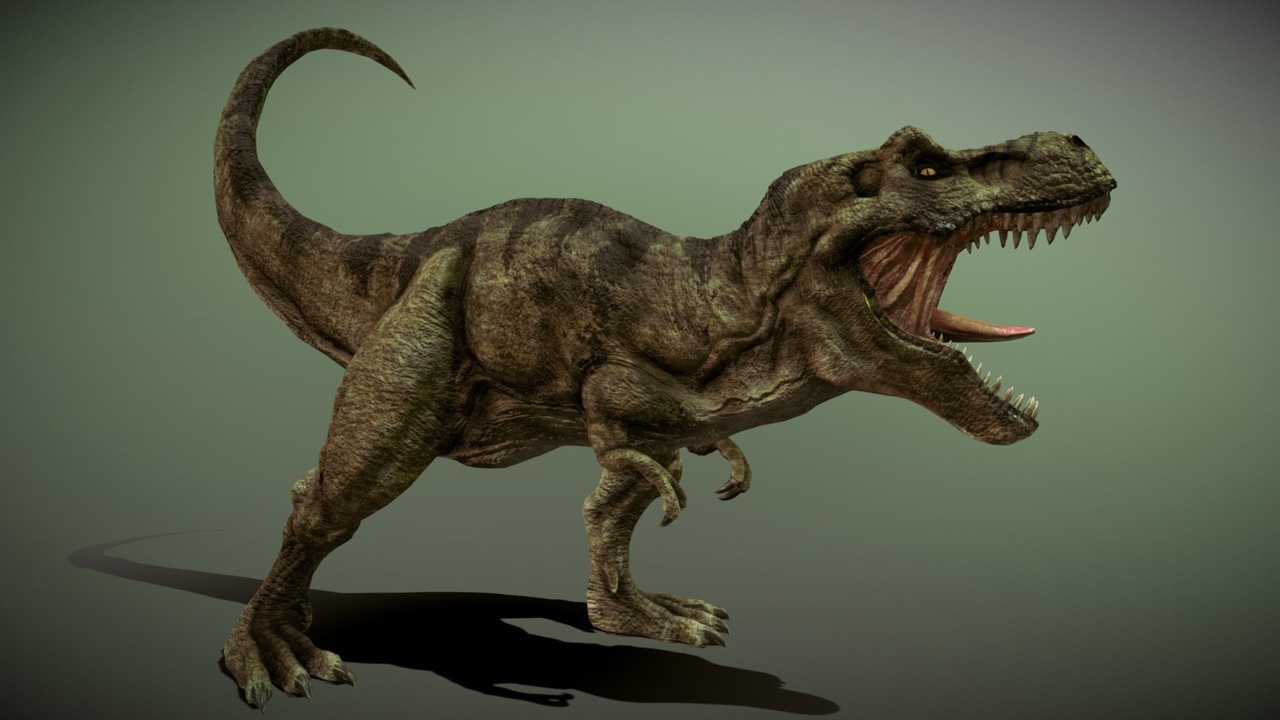 Media 1 for listing Tyrannosaurus Rex