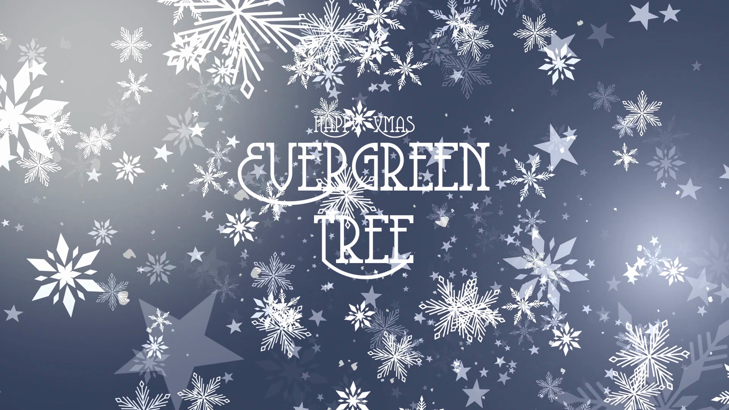 Media 1 for listing Evergreen Tree / Happy Xmas