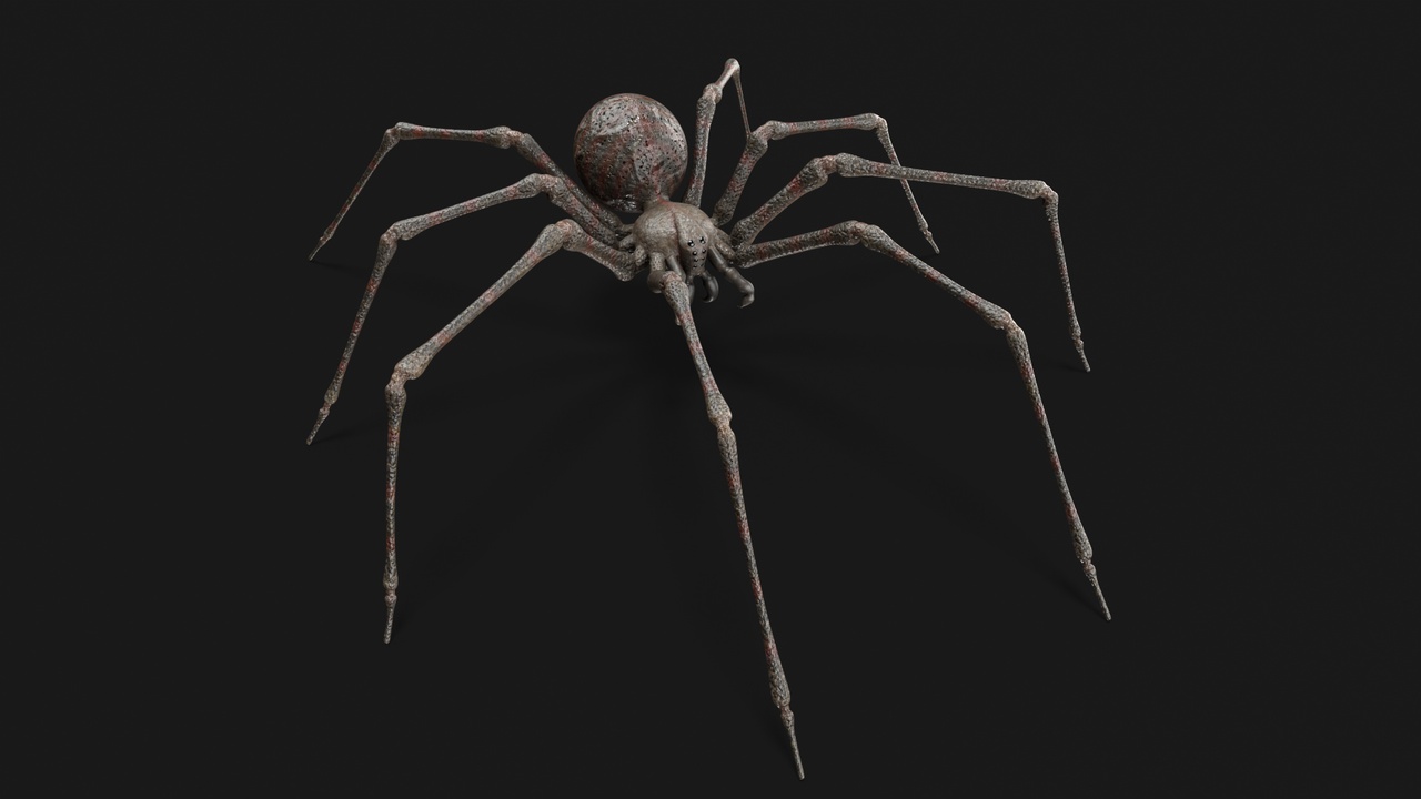 出品Spiderのメディア1