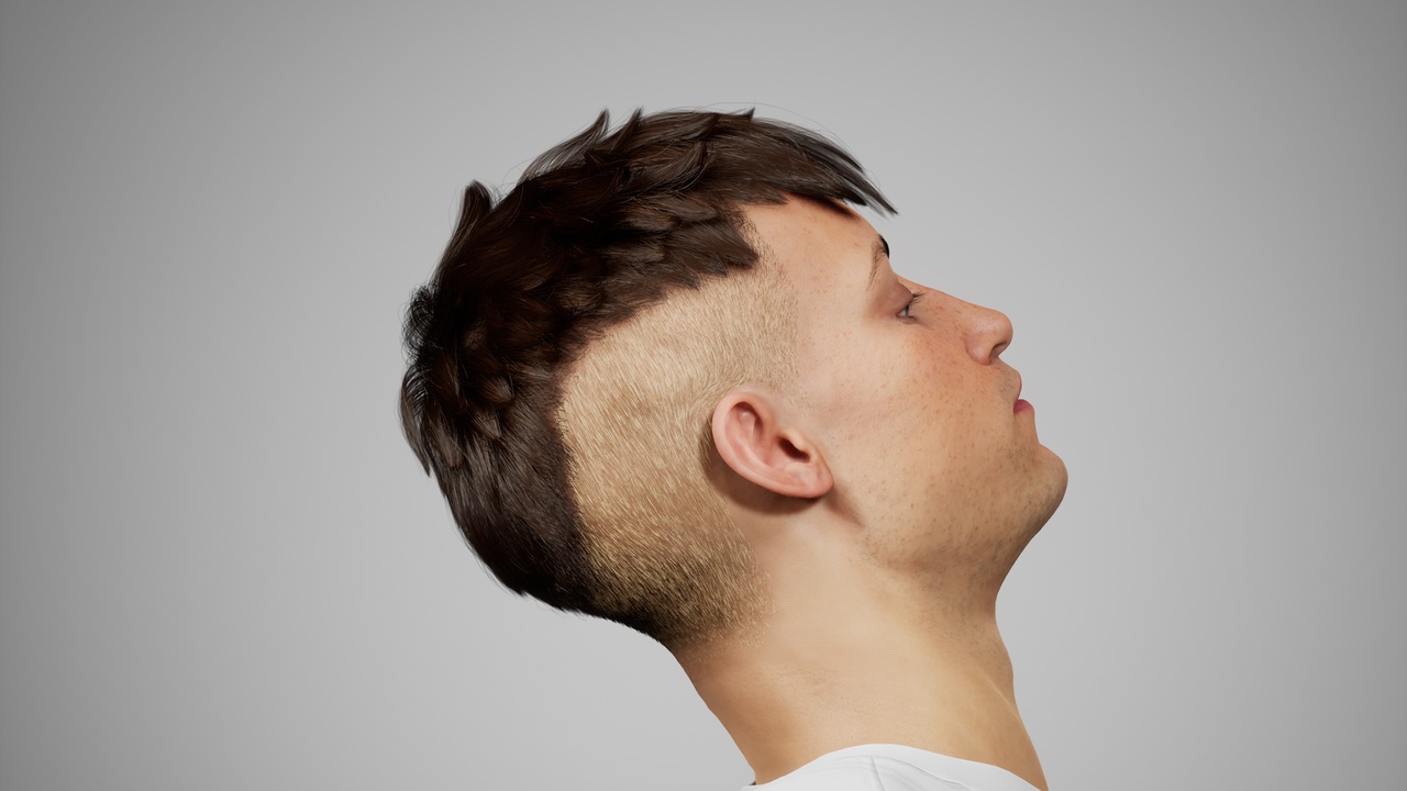 Media 1 for listing MetaHair 197- Groom hair for Metahumans - With low lowpoly version in additional