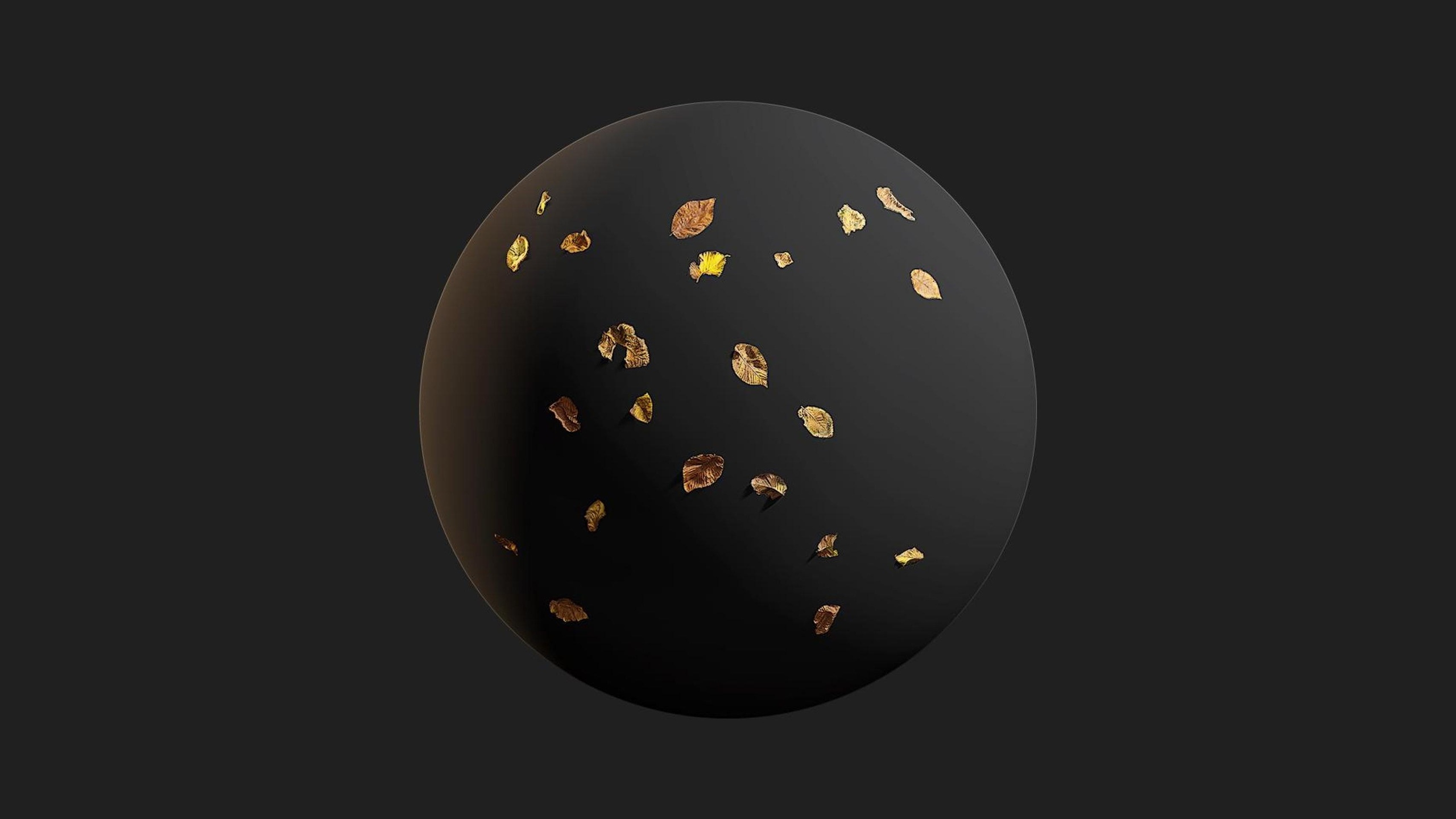 Media 1 for listing Elm Leaves