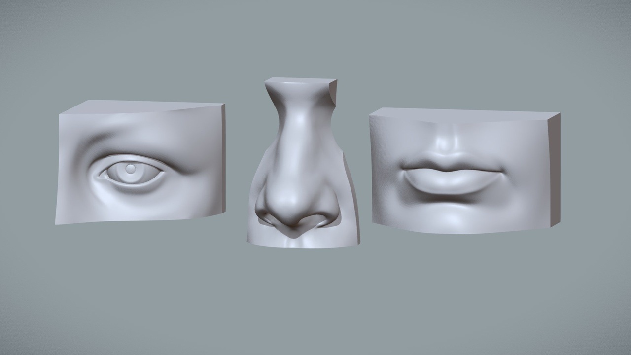 Media 1 for listing Human Mouth, Eye and Nose Reference - Study Pack