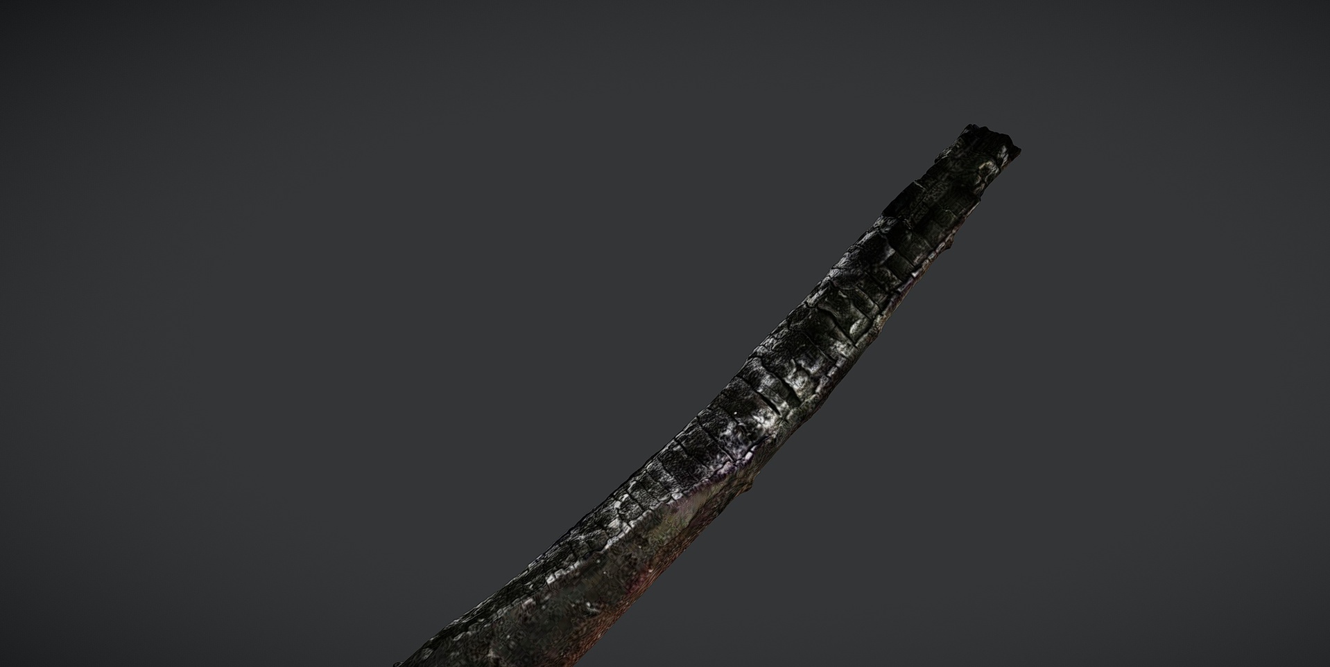 Media 1 for listing Charred tree branch II