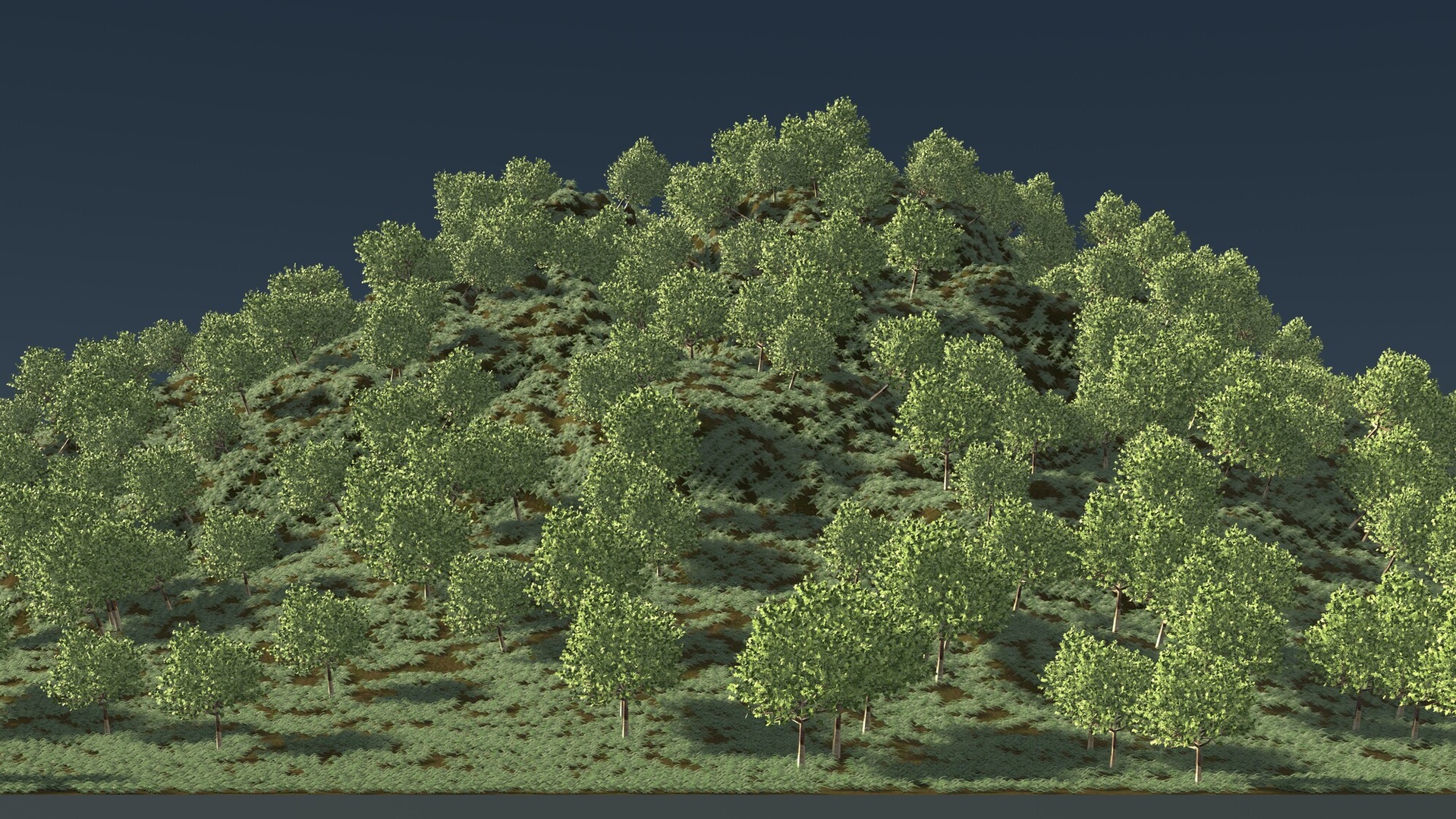 商品 Forest scene 25L01 的媒体 1