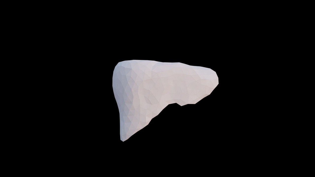 Media 1 for listing Origami human liver made out of triangles. Unfolding growing animation.