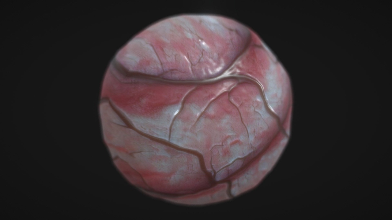 Media 1 for listing Veins PBR Texture Seamless Realistic