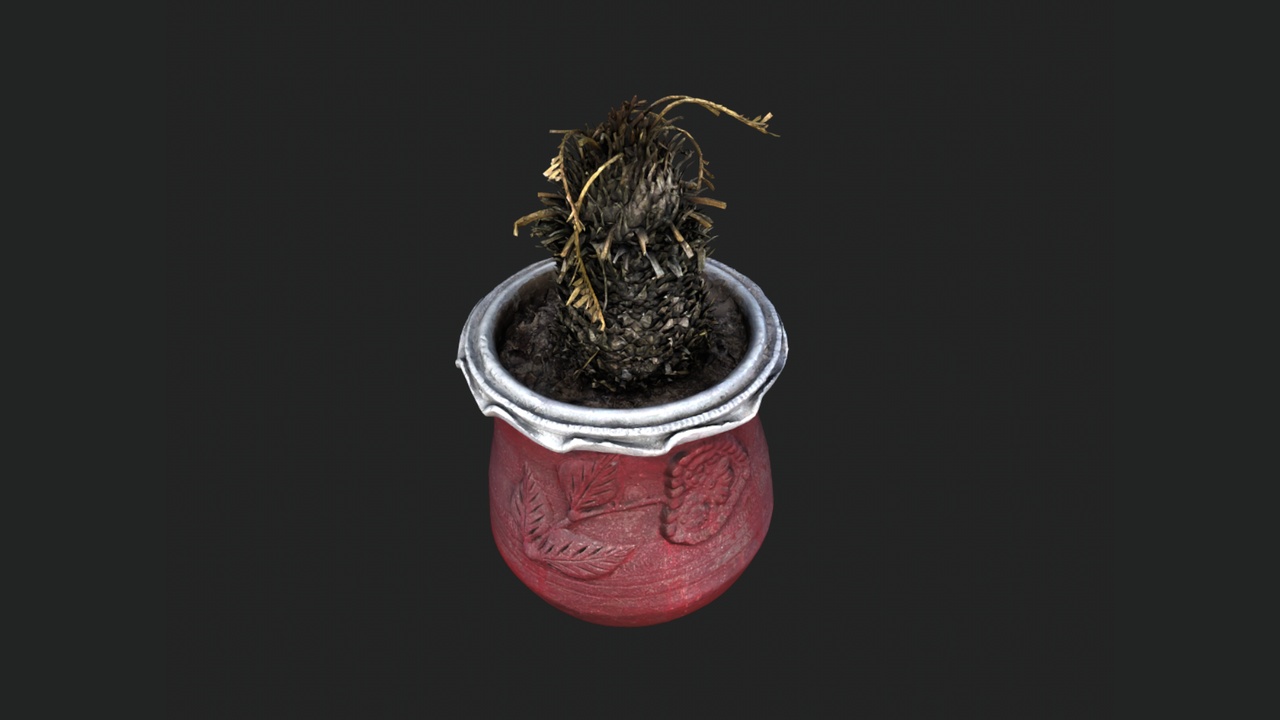 Media 1 for listing Dead Palm Tree in Red Pot – Scanned 3D Asset