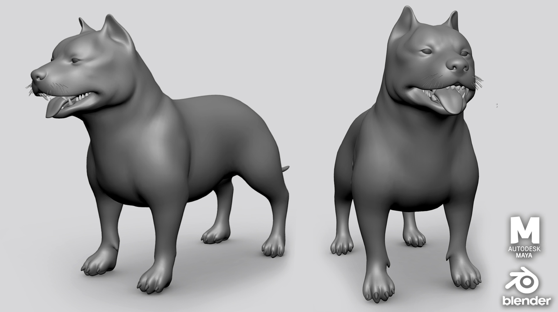 Media 1 for listing Pitbull  - Topology + UV Map