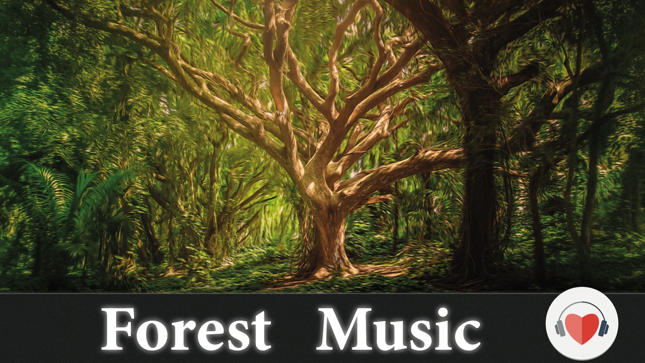 Media 1 for listing Forest Background Music