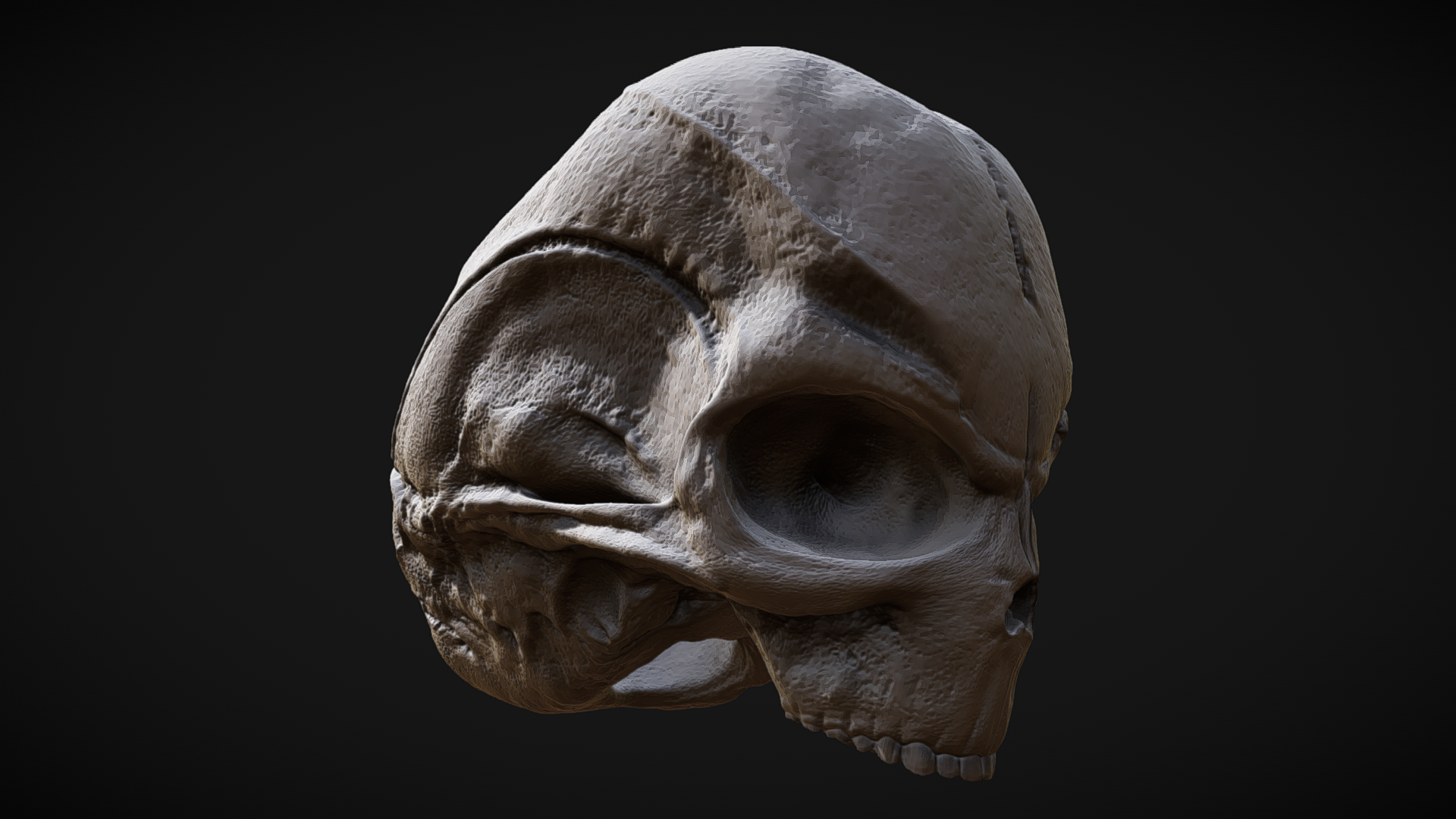 3D PRINTABLE GREY ALIEN SKULL PROP | Fab