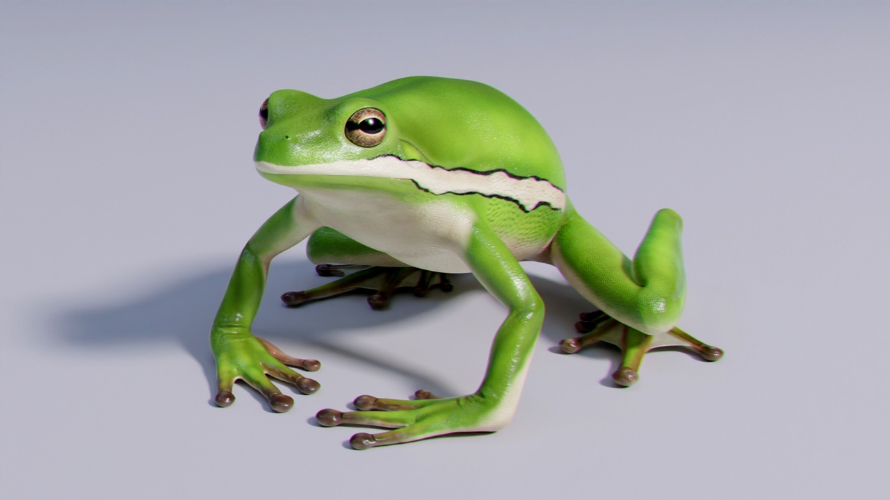 Media 1 for listing American Green Tree Frog