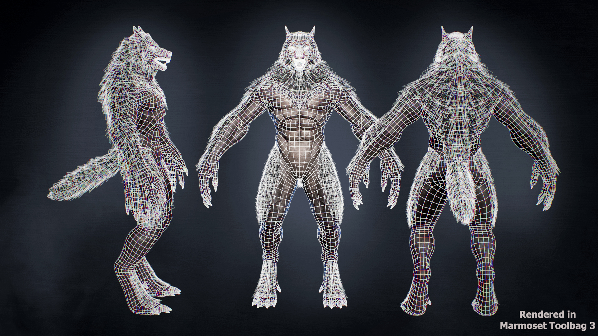 Monster Werewolf | Fab