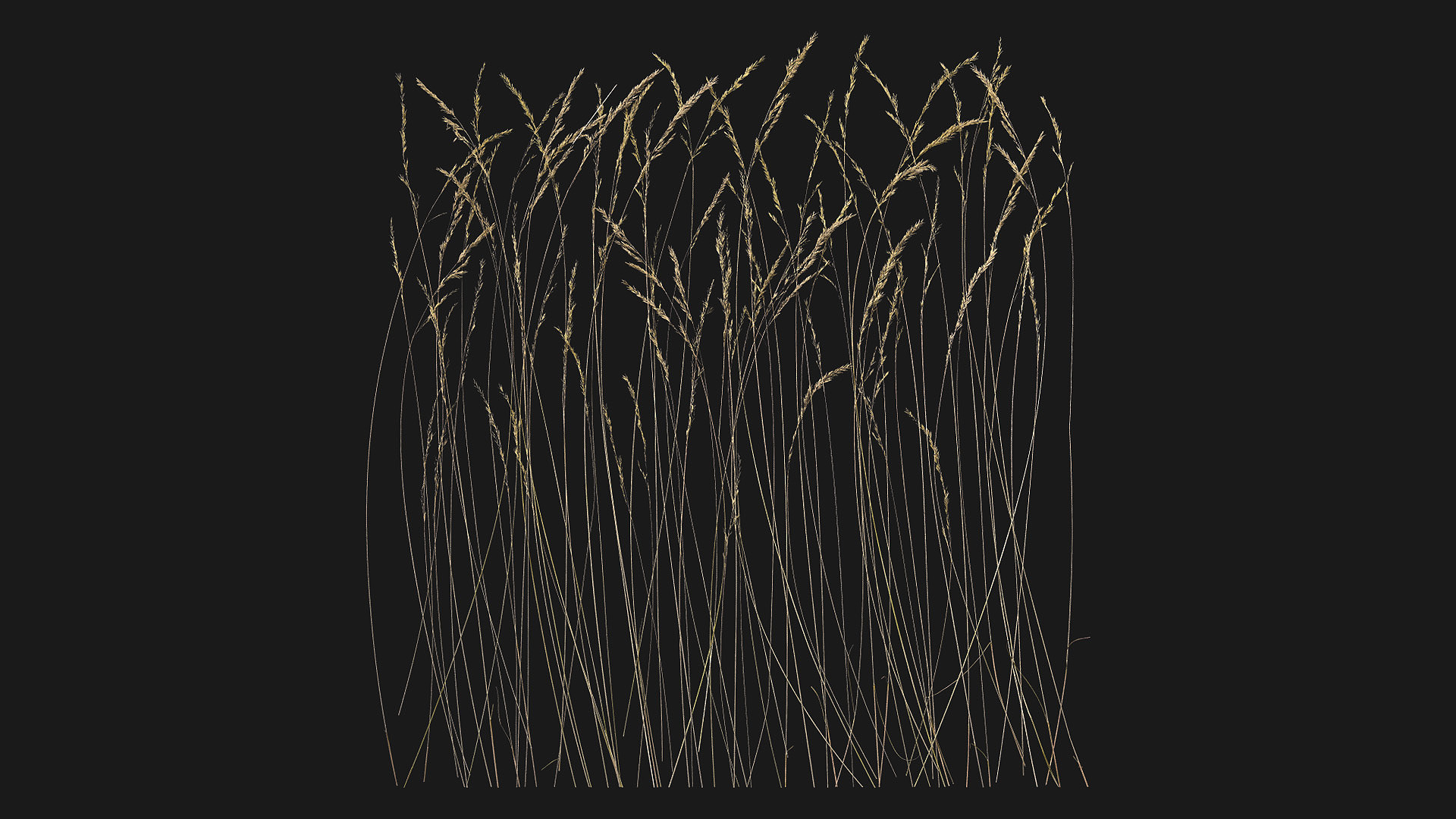 Dry Reed (unSPwW) | Fab