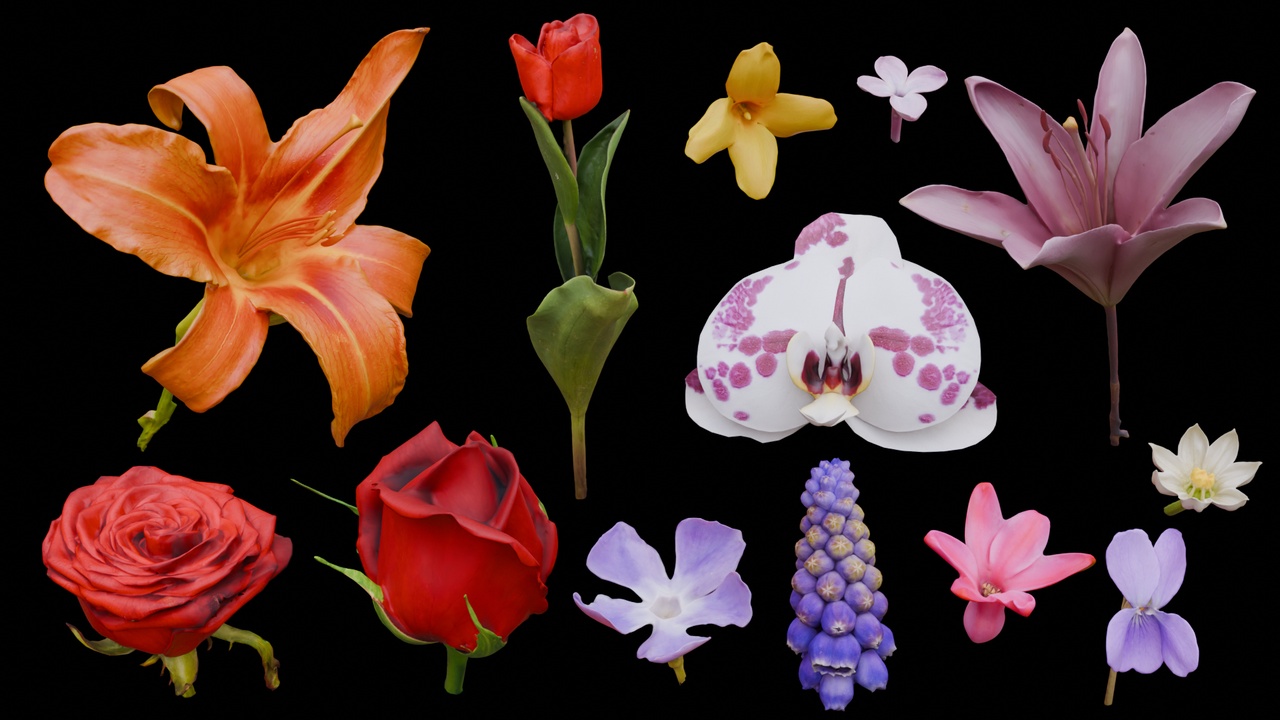 Multimedia 1 dla listy Flowers Scan