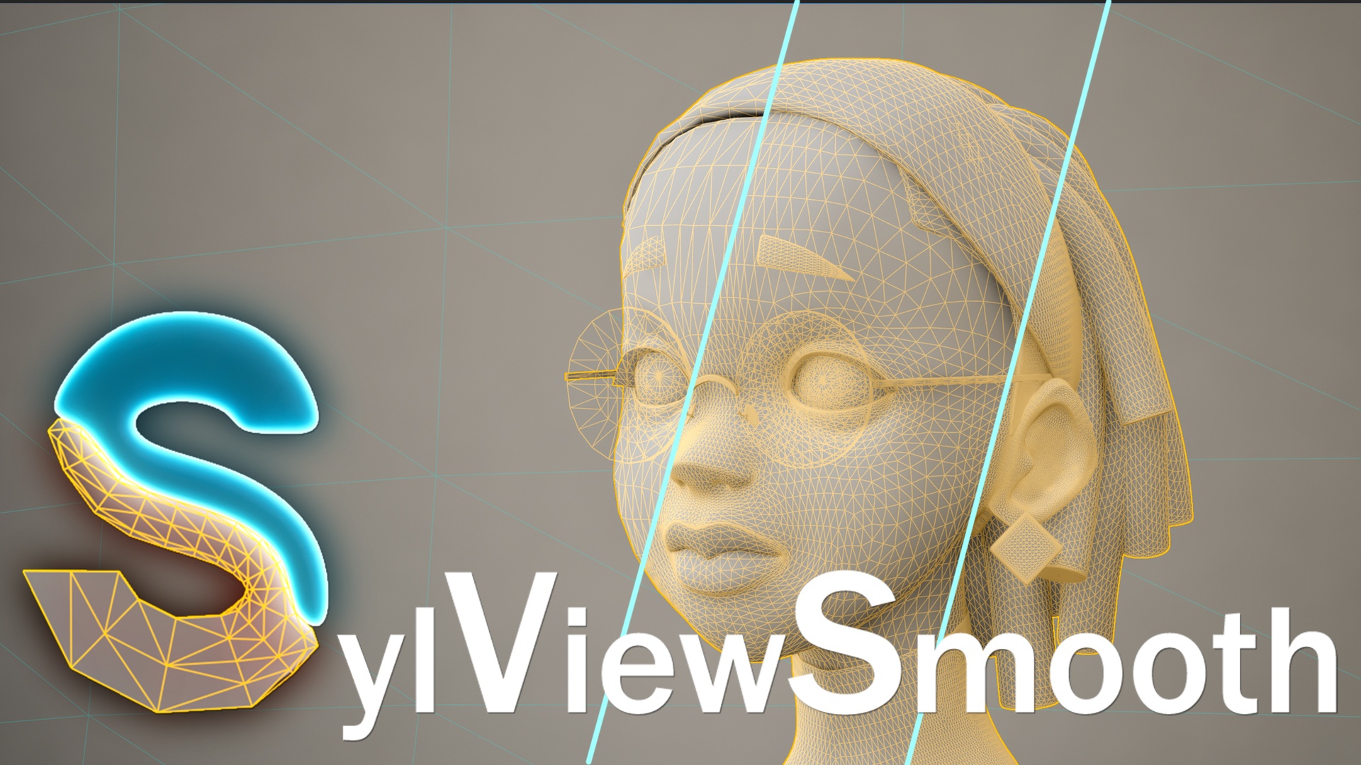 Media 1 for listing SylViewSmooth