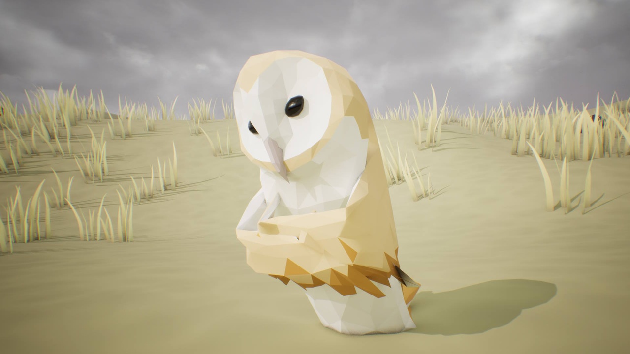 Media 1 for listing Low Poly Bird: Barn Owl