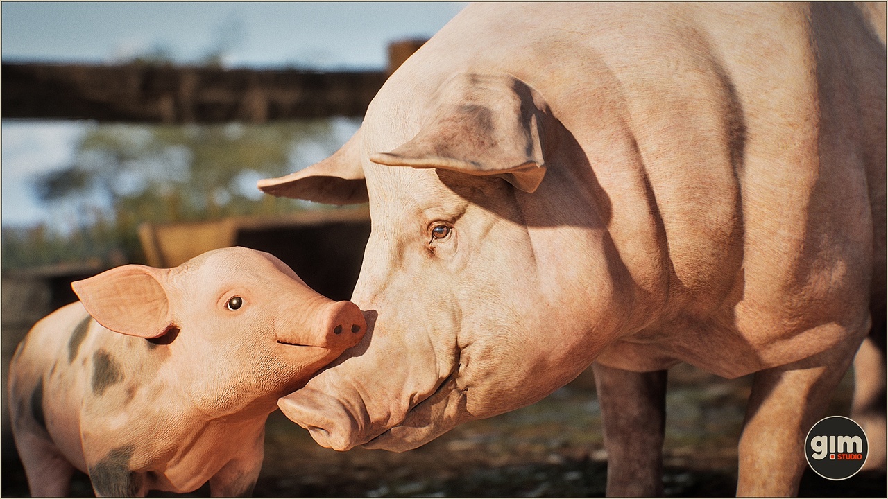 Media 1 for listing Animalia - Pig (pack)