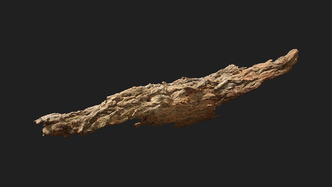 Media 1 for listing Broken Tree Bark