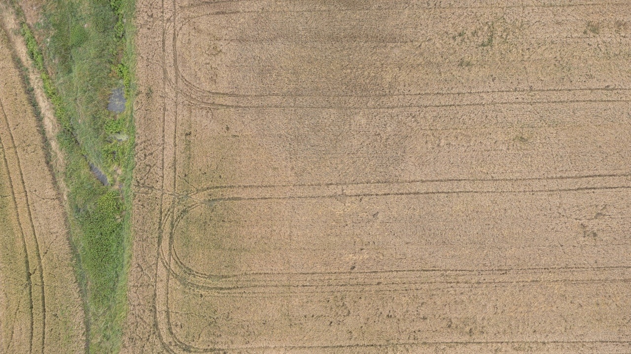 Media 1 for listing 3D field tracks inspection