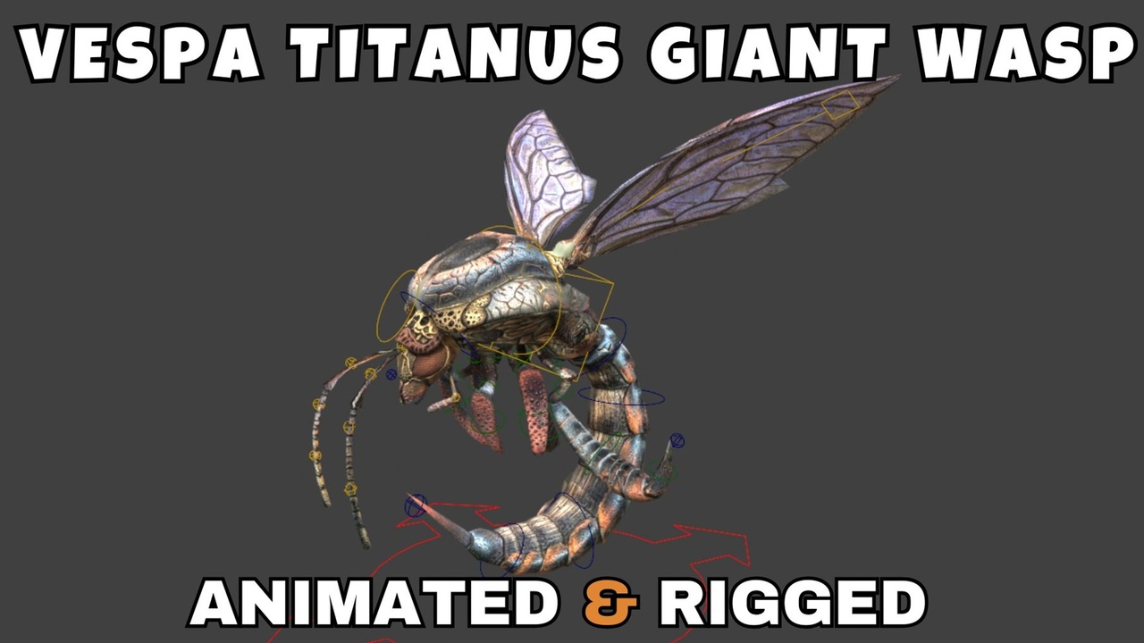 Media 1 for listing Vespa Titanus Giant Wasp Rigged And Animated 3D Model