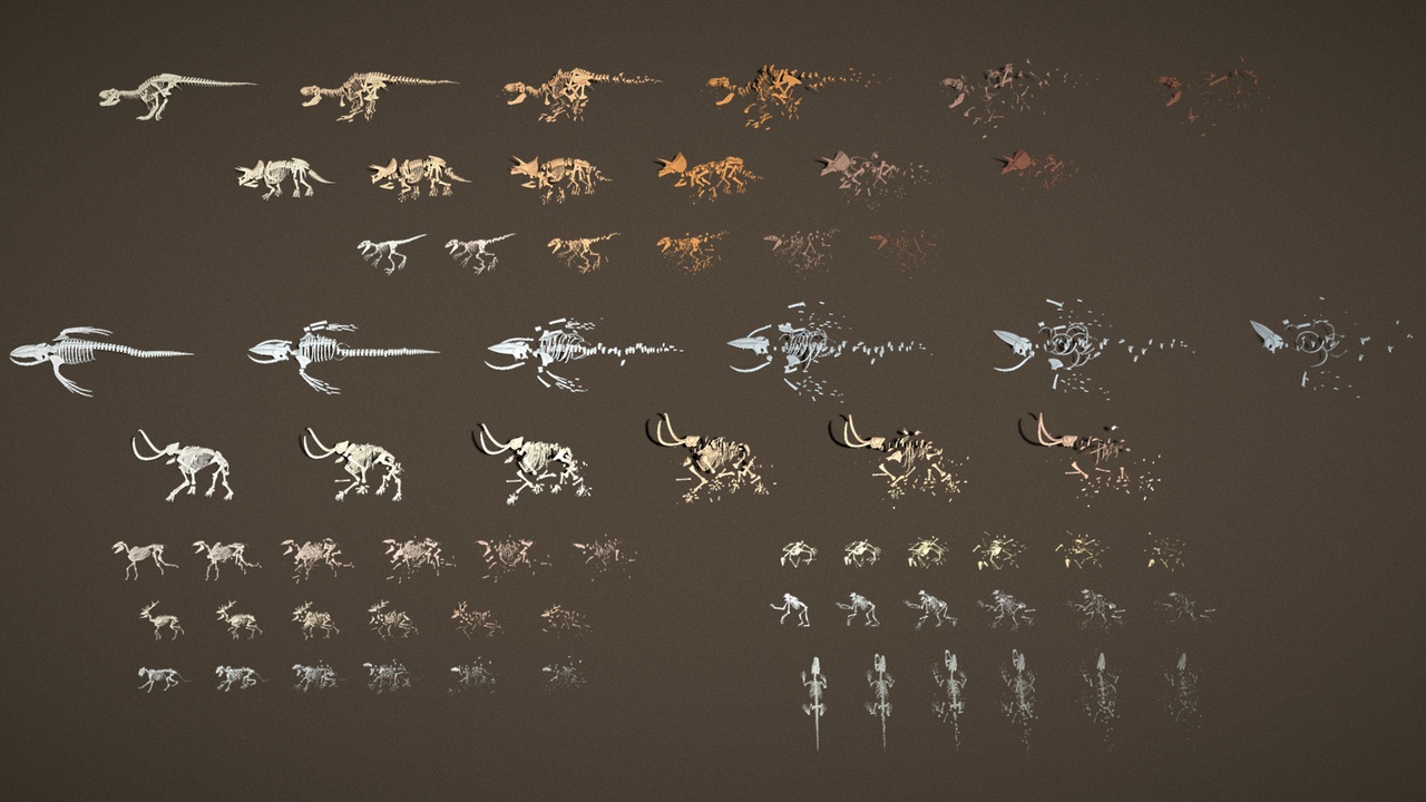 Media 1 for listing Props Pack - Animal Skeleton