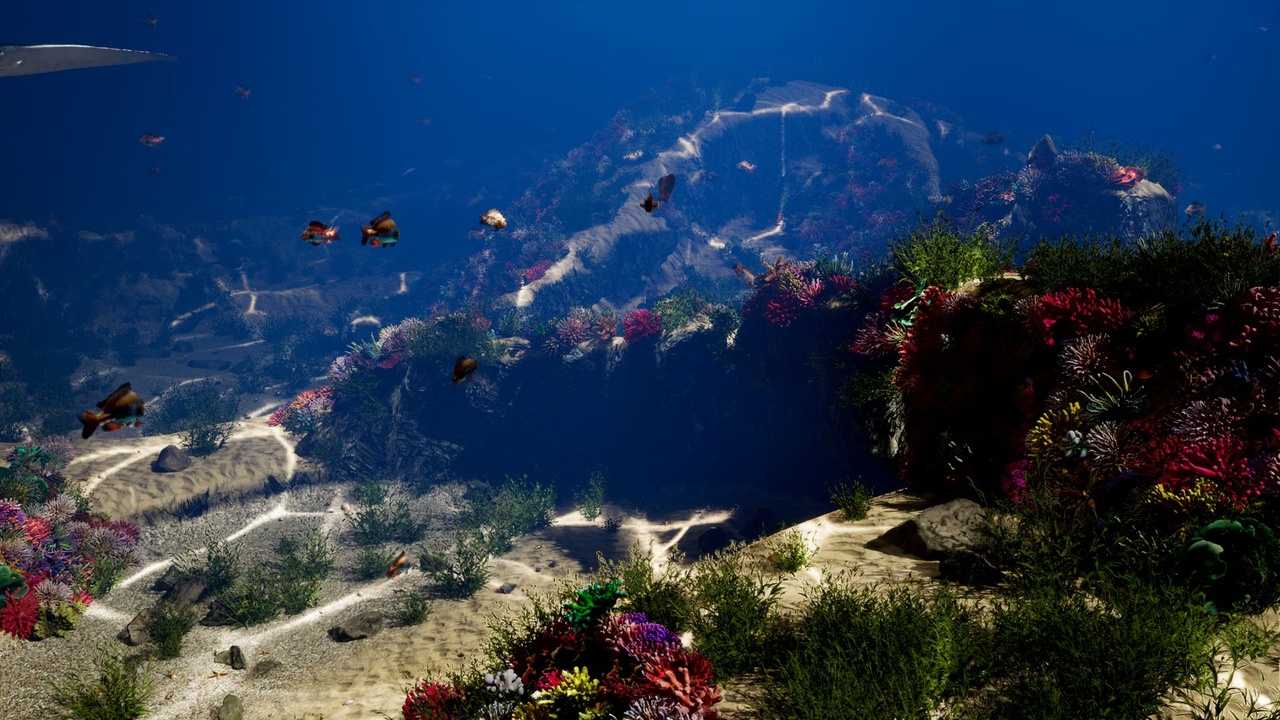 Media 1 for listing Coral Reef -UDK-