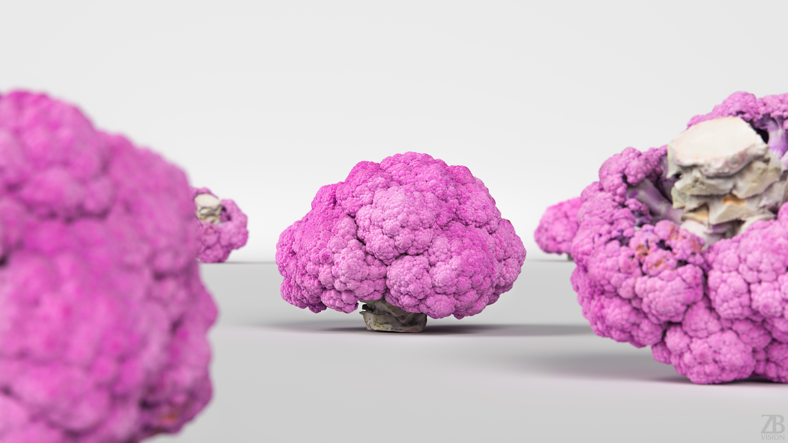 Media 1 for listing Broccoli 001