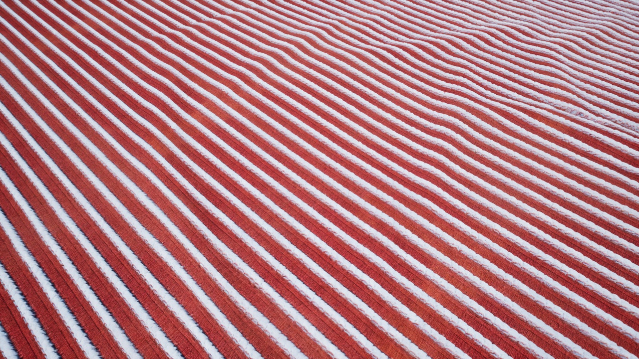 Multimedia 1 dla listy Carpet Material Pack