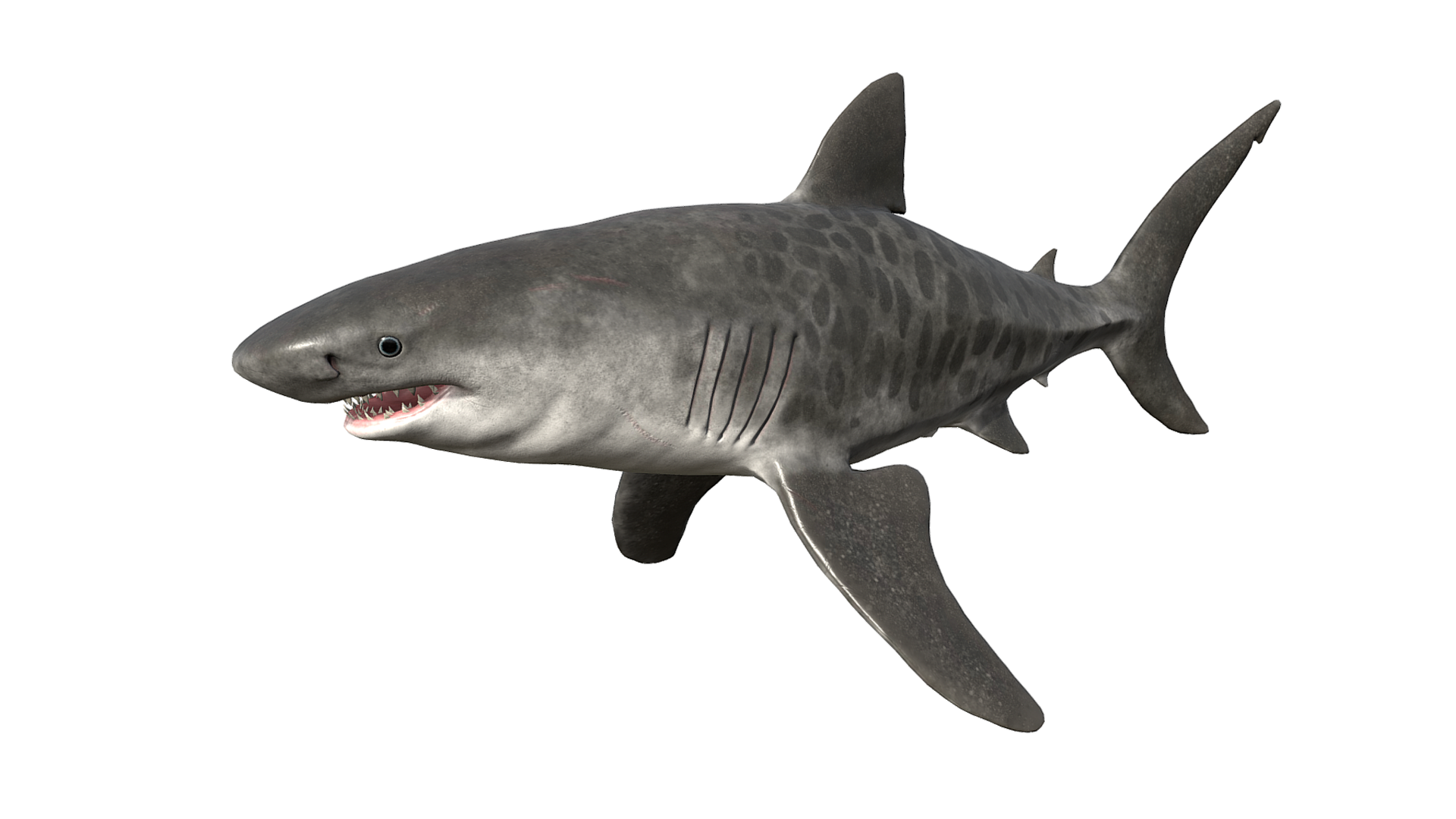 dab21683-440a-494e-b061-