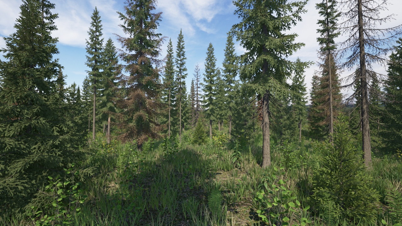 Media 1 for listing Spruces Pack