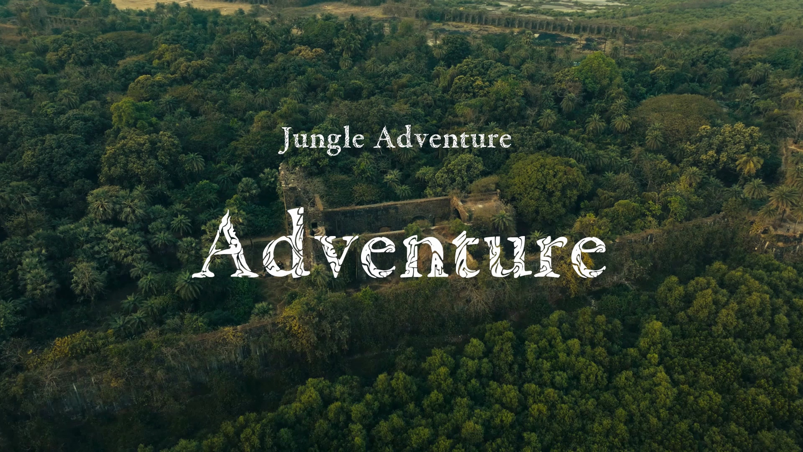 Media 1 for listing Adventure / Jungle Adventure