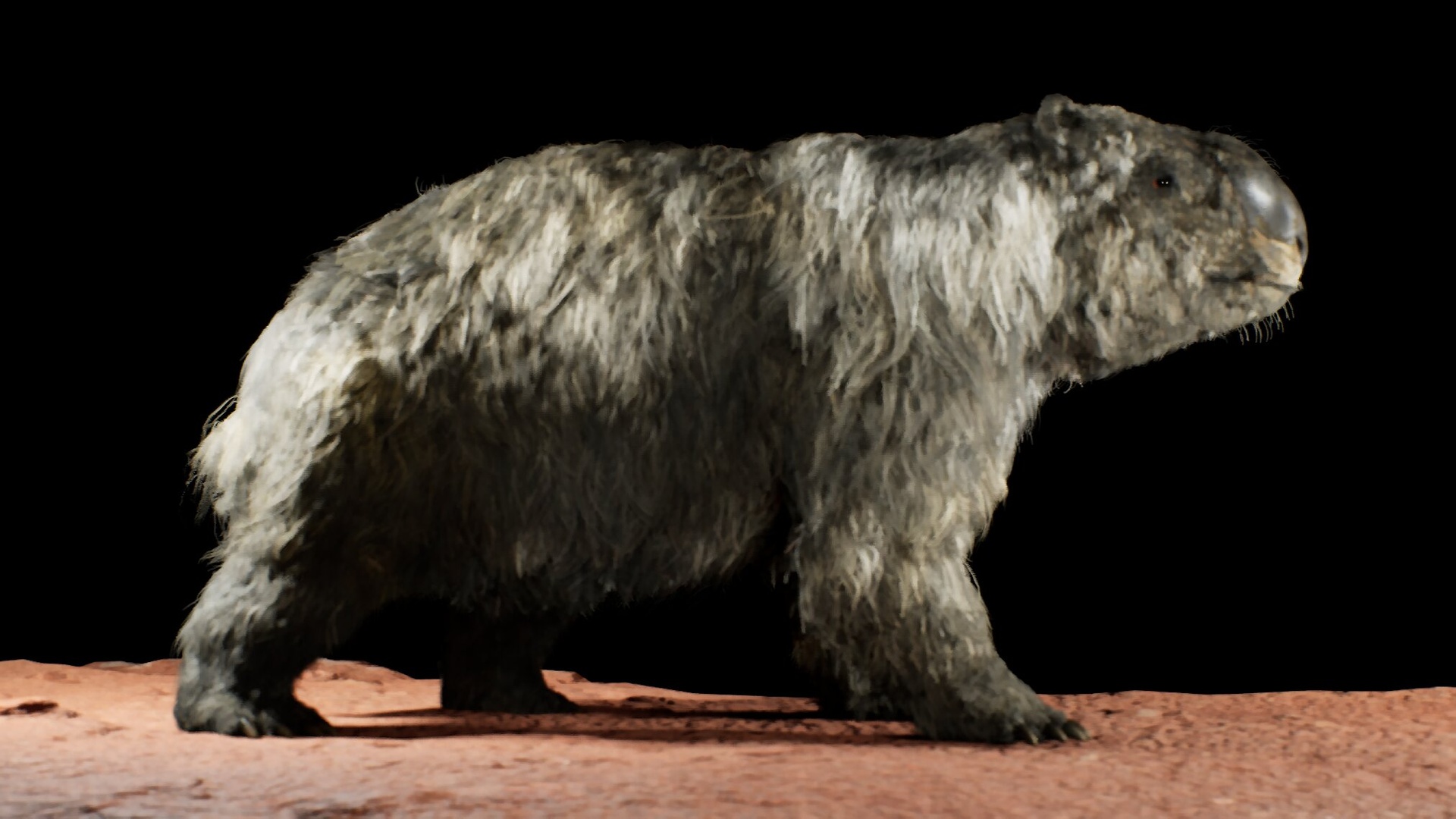 Media 1 for listing The Diprotodon