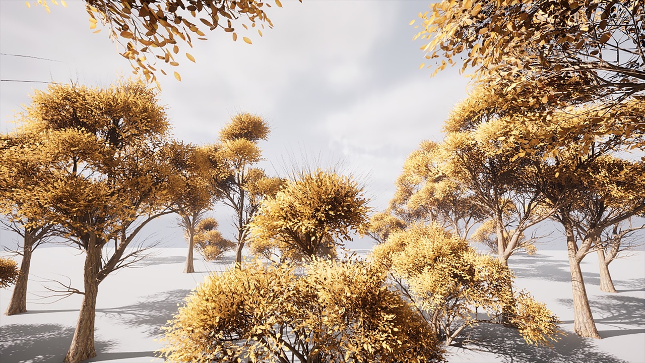 Media 1 for listing HighPoly Tree Bundle 10 (5 in 1)