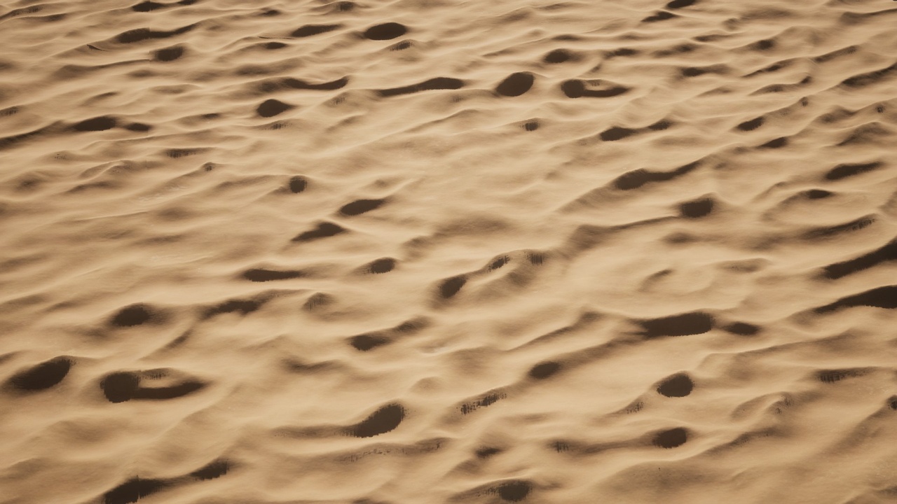 出品Material Sand Vol.1のメディア1