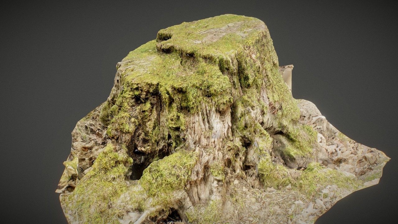 Media 1 for listing Mossy Tree Stump