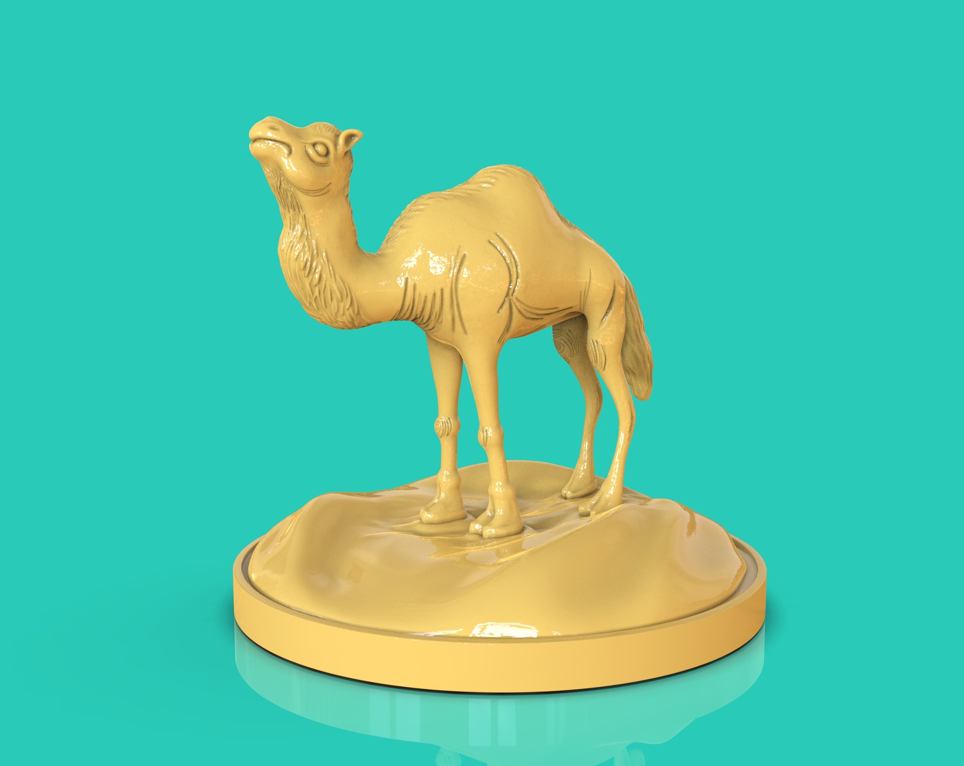Media 1 for listing Camel Dromedary