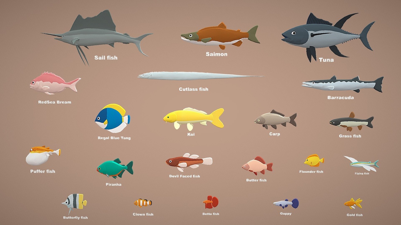 Media 1 for listing Animals Pack - Fish