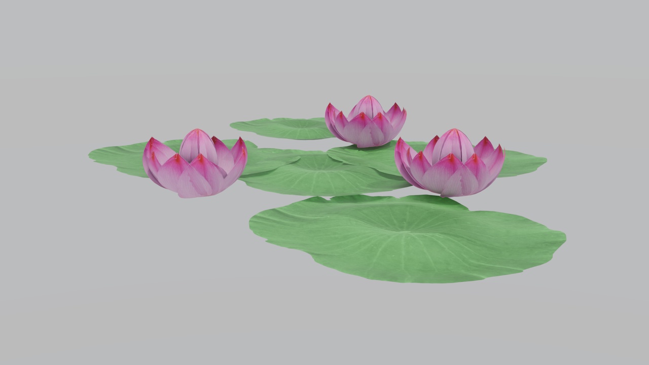 Media 1 for listing Lotus Water Lily Pond Scenery 3D Model