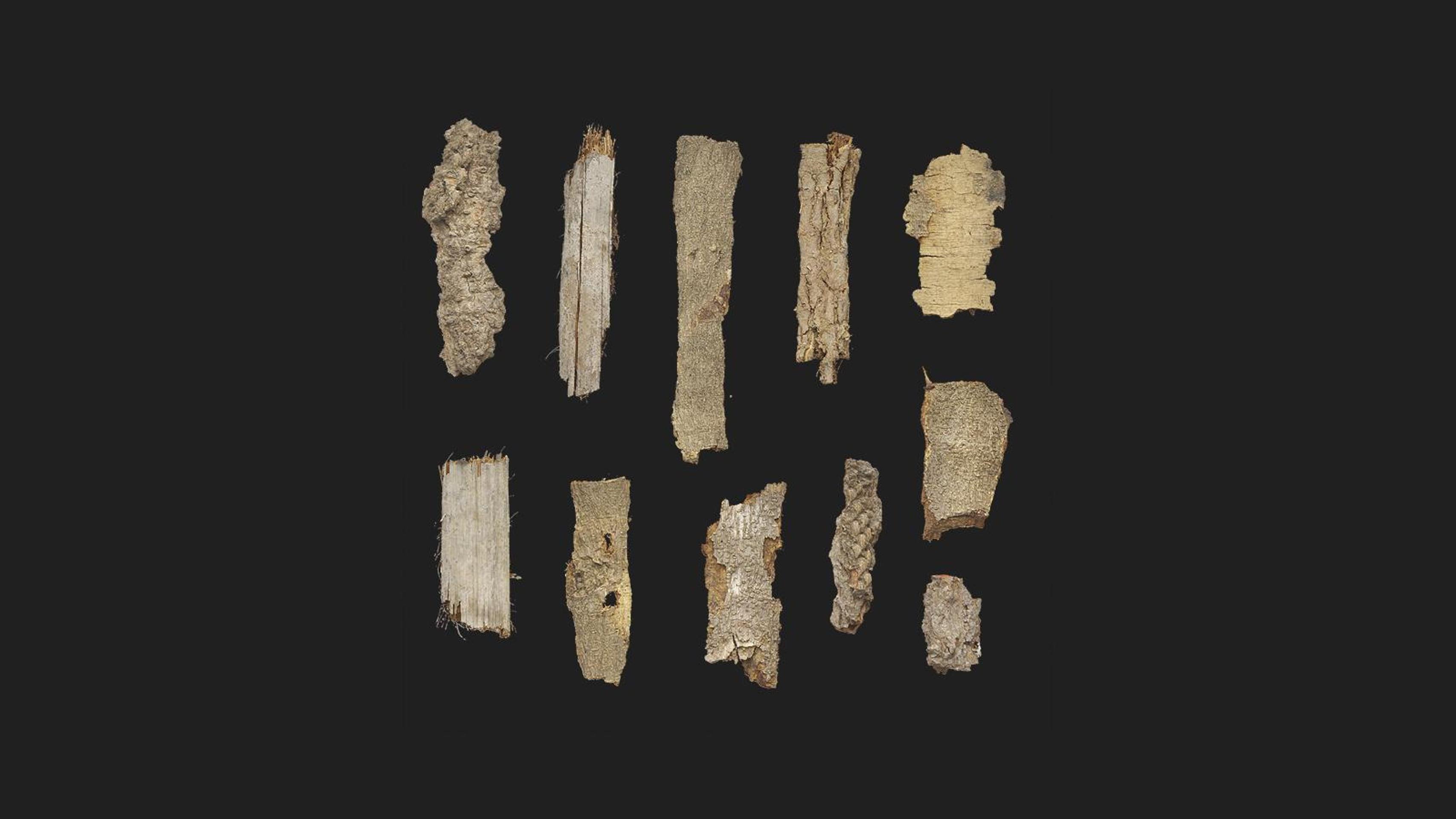 Bark Pieces | Fab