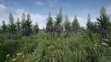 Asset image