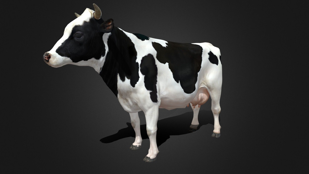 Media 1 for listing White Cow - Rigged - Animated