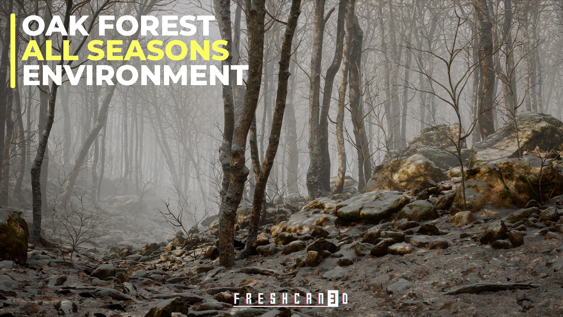 Procedural Oak Forest ( Forest , Winter Forest , Spring Forest , Autumn ...
