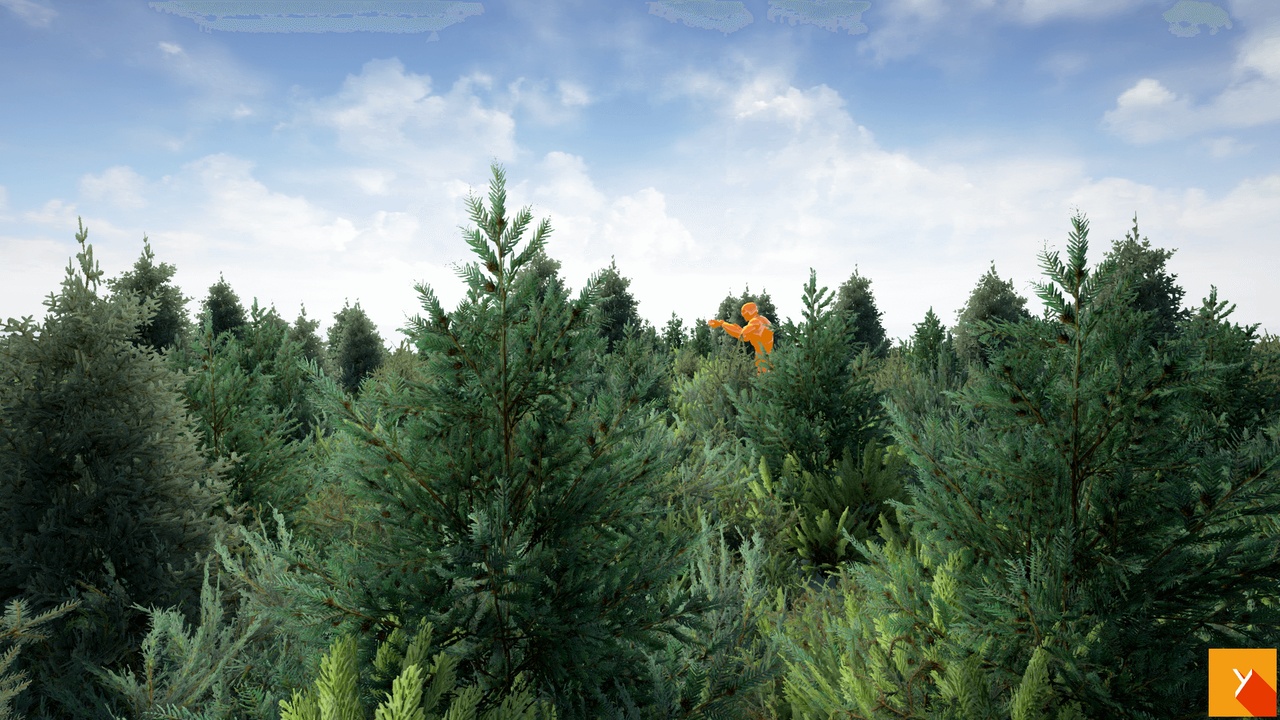 Media 1 for listing Yughues Pine Bushes