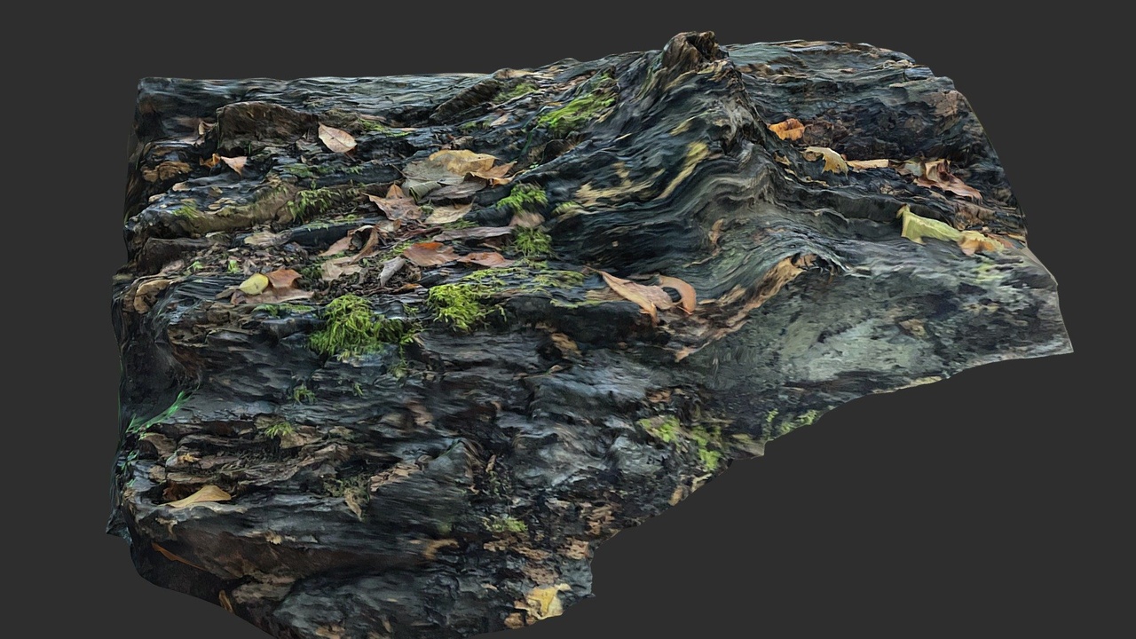 Media 1 for listing Dream Fuel | Moss Log