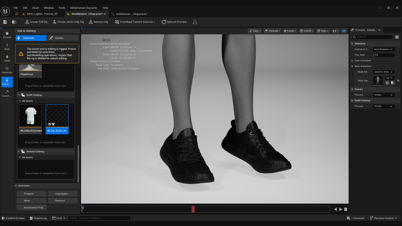 Media 1 for listing Sneakers for Metahuman 28 - MHPKG
