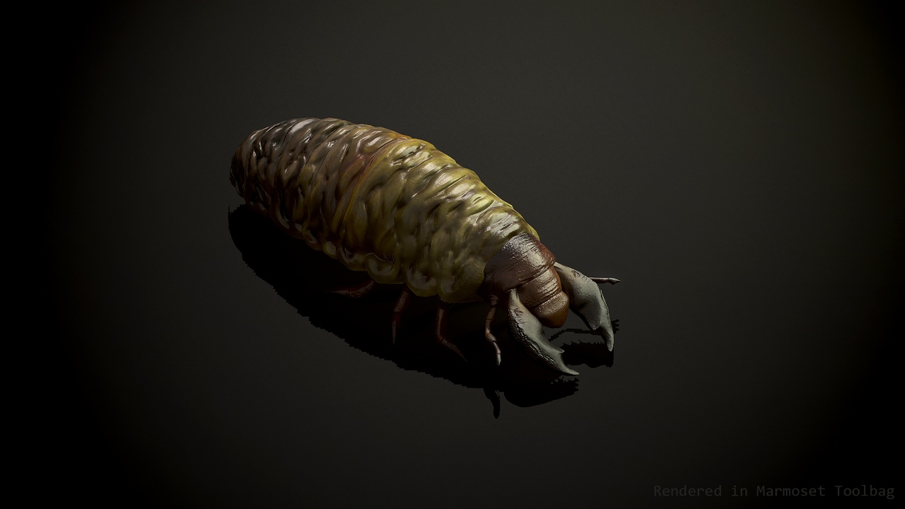 Larva insect2 제품 등록을 위한 미디어 1개