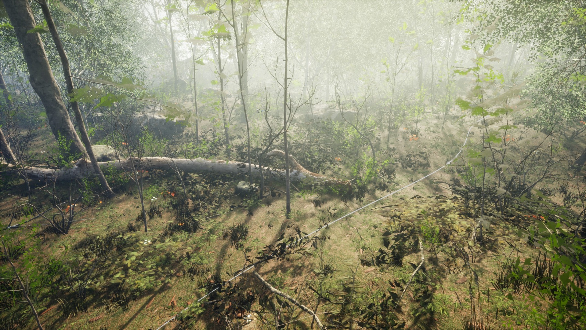 Media 1 for listing PCG Birchwood Forest