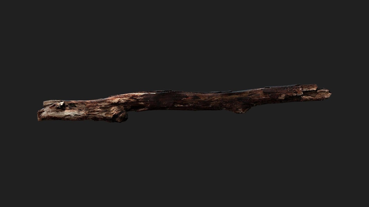 Wooden Branch | Fab